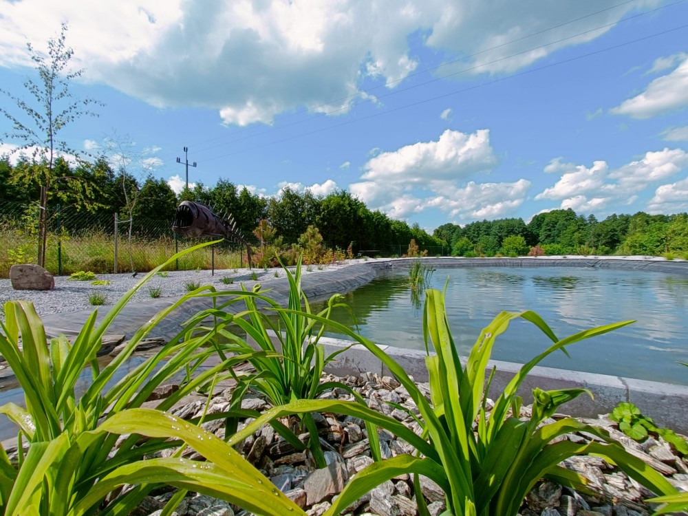 Ogród New-Garden