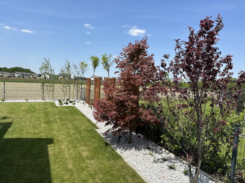 Ogród New-Garden