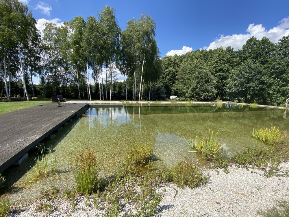 Ogród New-Garden