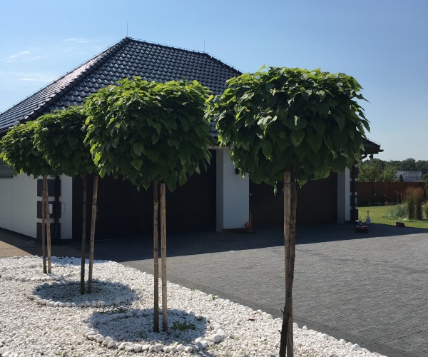 Świerklaniec 