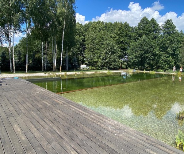 Staw Żory